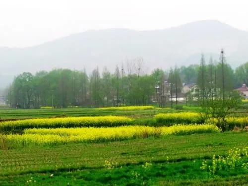 籍贯指的是什么，籍贯指的是什么和户籍的区别（有不少表格需要填籍贯）