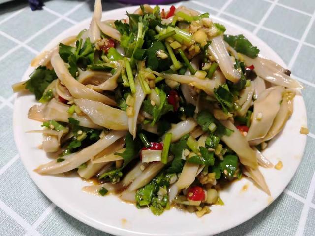 黄色的蘑菇叫什么，黄菌菇图片大全（盘点七种常见食用菌菇）