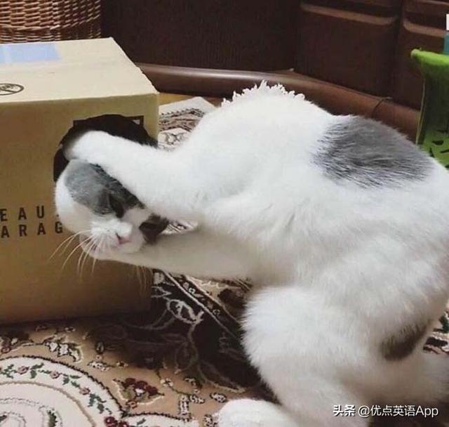 调侃是什么意思，异性调侃是什么意思（你知道老美是怎么调侃他们的