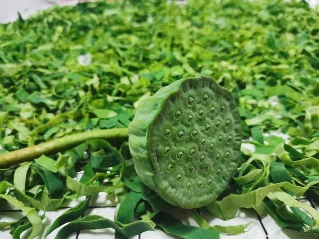 不锈钢盆可以放烤箱吗，烤箱里可以放不锈钢盆吗（10种花最养人）