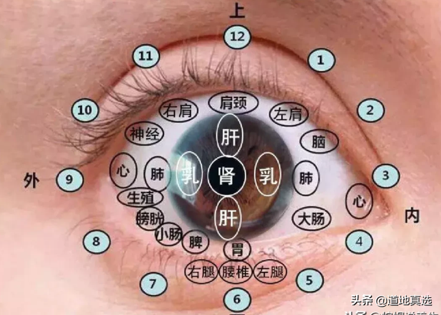 脸部各个部位名称叫什么，脸部位置名称图解（老中医面诊：从脸部五官看疾病）