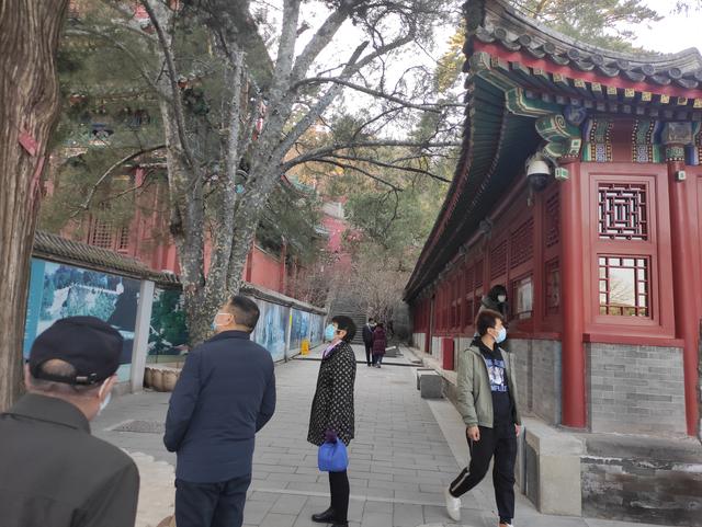 戒台寺与潭柘寺区别，戒台寺与潭柘寺区别是什么（戒台寺一日游）
