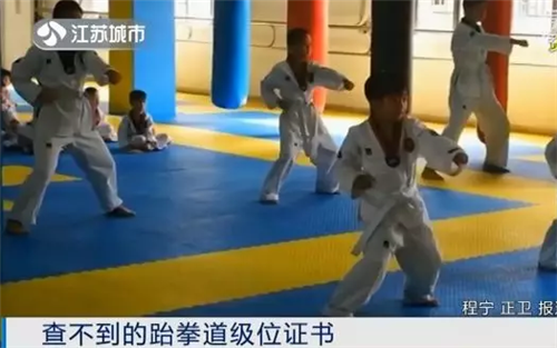 中国跆拳道协会级位证书查询，跆拳道如何查询证书（跆拳道考级证书官网“查无此证”）