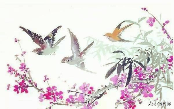  描写燕子的经典诗句，带燕的诗句（七首经典燕子诗词） 