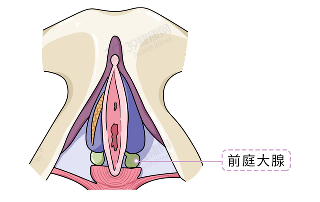 润滑剂怎么用涂在哪里，润滑剂怎么使用（男女“办事”前，有必要看看）