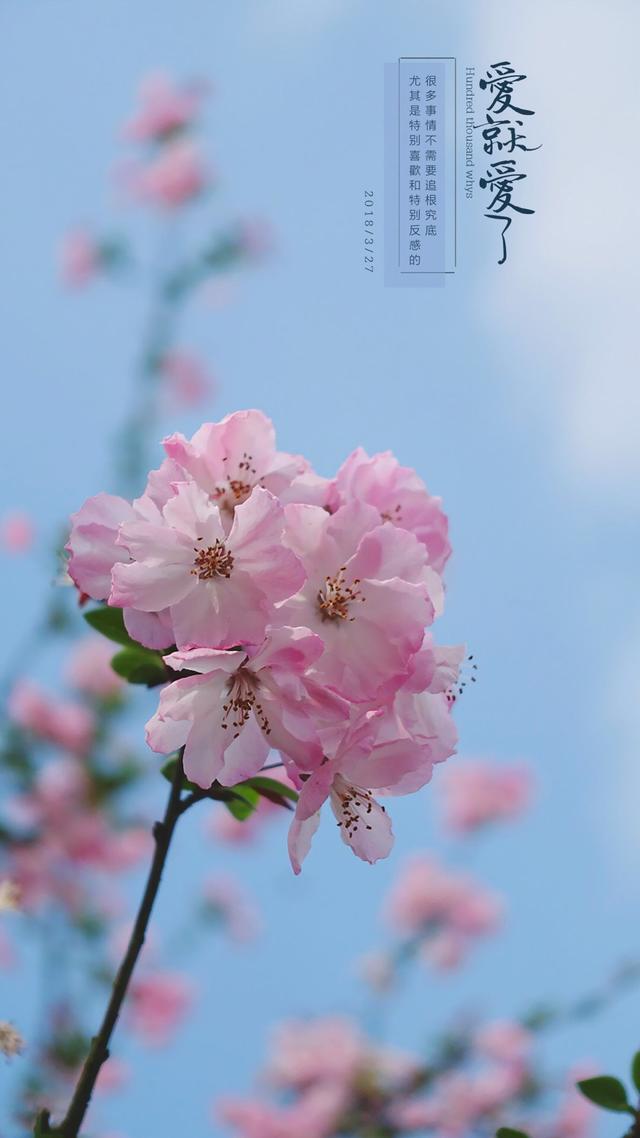 优质唯美壁纸,唯美好看壁纸(20张精选唯美壁纸图片)