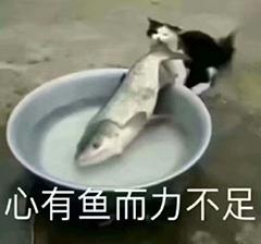 如何删除word空白页，如何删除Word空白页（教你5个超简单的方法）