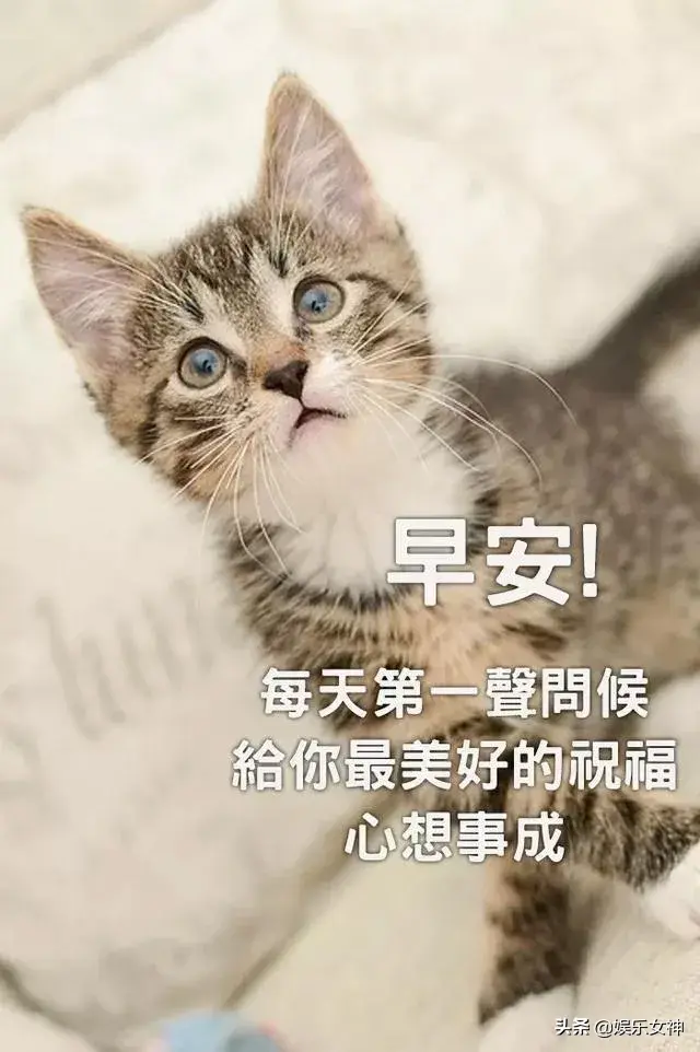 关心人暖心的句子说说心情，关心的话语句句暖人心（微信朋友圈最暖心的心情说说一句话）