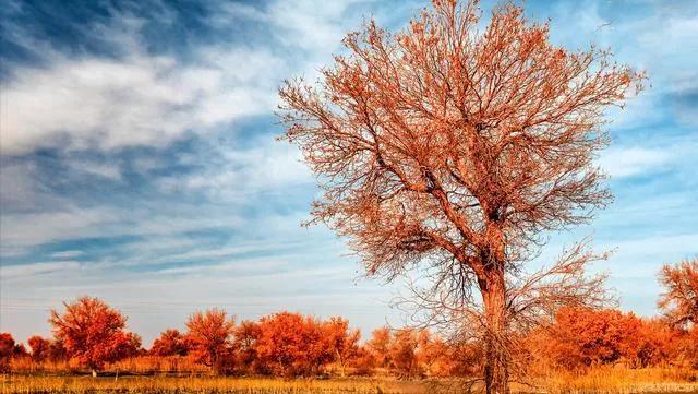 通货紧缩是什么意思，通缩是什么意思（通货紧缩的社会现状）