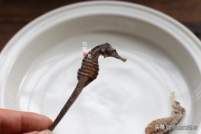 干海马煲汤前需要泡多久，干海马煲汤前怎么处理（朋友们说：广东汤水真长见识）