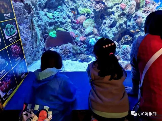 珠海长隆游玩攻略，珠海长隆游玩攻略图（带娃去珠海长隆该怎么玩）