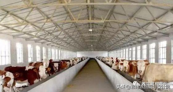小型养牛场基本设置，10头牛场设规划方案