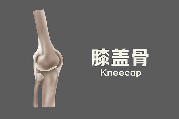 吃垃圾食品的危害，吃垃圾食品的危害演讲稿（“垃圾食品”就等于加工类零食吗）