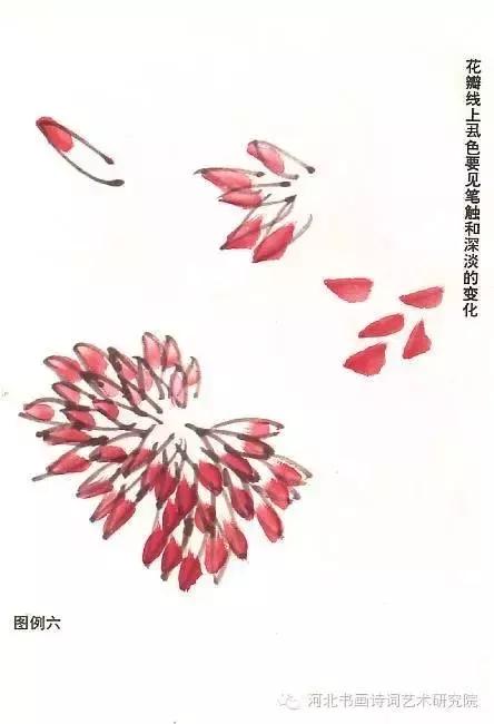 花的画法——菊花的画法，菊花是怎么画（菊花画法大全）