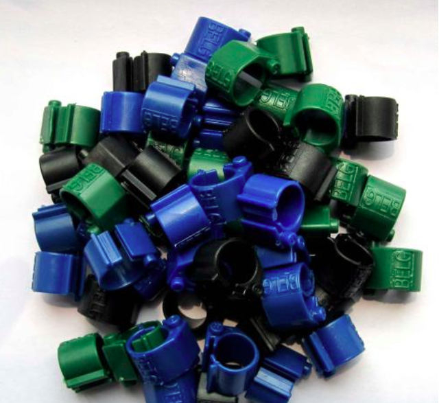 赛鸽足环是什么样子，智能安全“划重点”