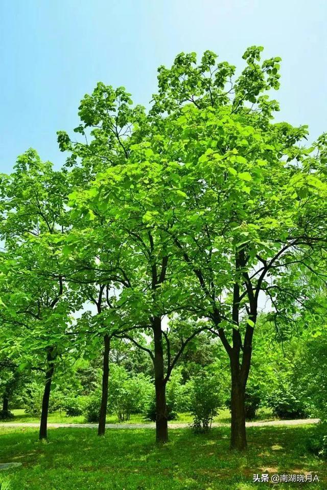 胤礽怎么读拼音，胤礽怎么读（究竟是秦桧<guì>）