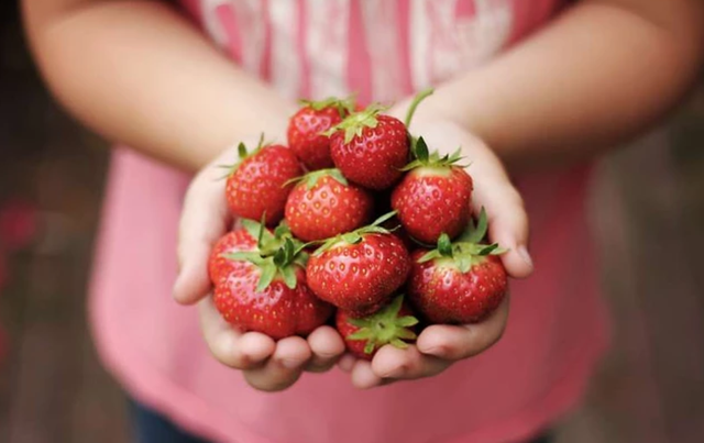 吃水果的最佳时间是，吃水果的最佳时间（协和营养科医生告诉你）