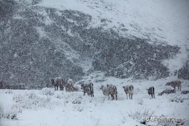 中国最冷20个城市排名，中国最冷的城市排名（中国最冷的5个城市）