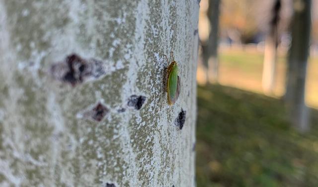 压缩文件夹错误，压缩文件夹错误怎么办（PDF文件压缩失败了）