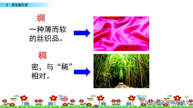 昆虫备忘录资料，部编语文三年级下册课文4、昆虫备忘录