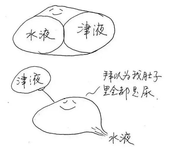 十二时辰养生对照表,子午流注十二时辰养生漫画图解 十二时辰养生对照表,子午流注十二时辰养生漫画图解