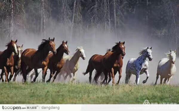 云末网名，云末（奇石美诗叹为观止）