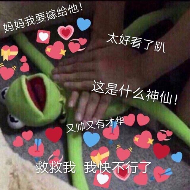 今天也要加油鸭，今天也要加油鸭壁纸（表情包：今天也要加油鸭图片）