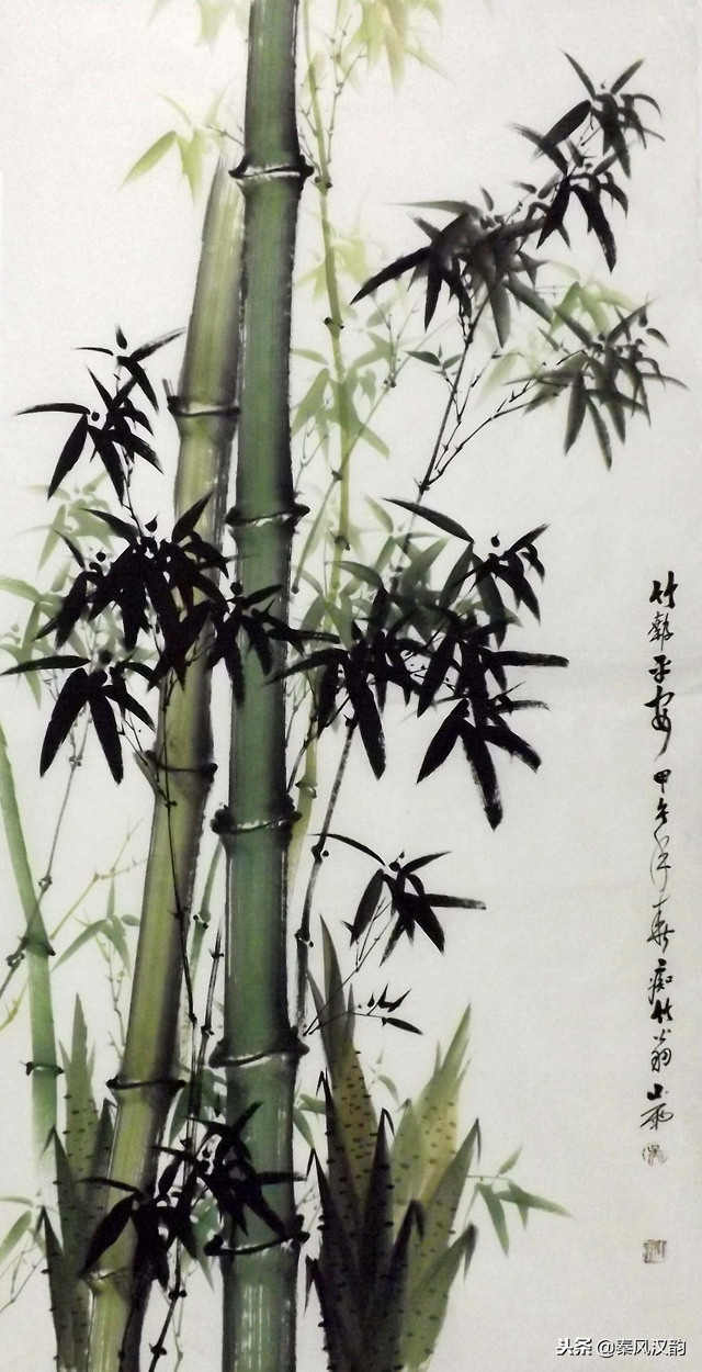 国画竹子的竹枝怎么画，国画竹竿竹枝画法
