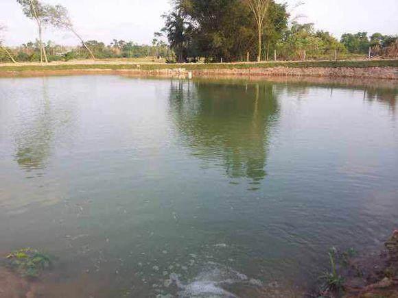 挖鱼塘的最佳方法，鱼塘要怎么挖才能挖得好（新挖的鱼塘应该注意哪些事项呢）