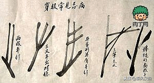 国画竹子的竹枝怎么画，国画竹竿竹枝画法