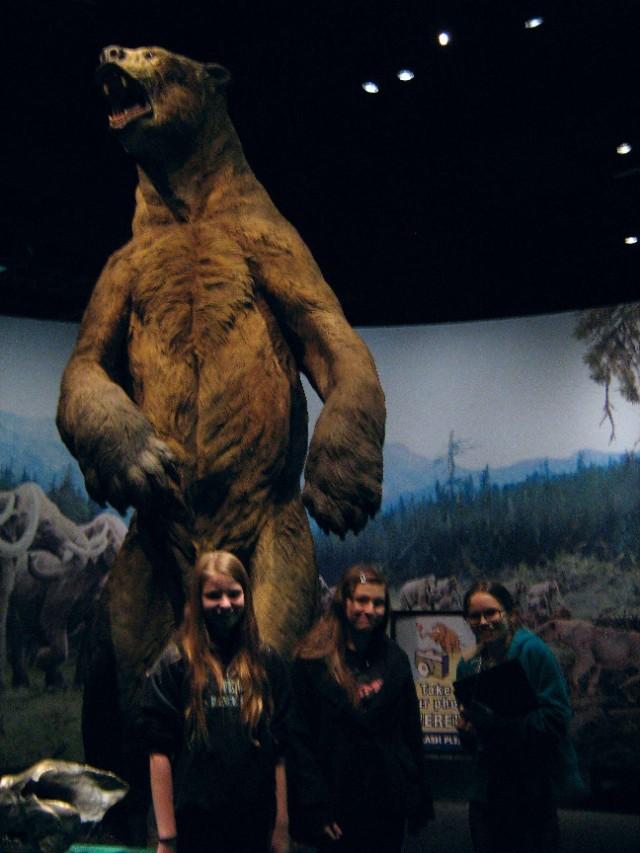 全球最大的熊类，哪种熊是全球最大的熊类（身高5米相当于两层楼高）