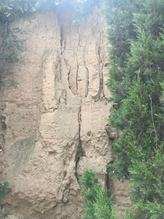 战国说“彩”是什么意思，战国说“彩”（《大秦赋》彩！彩！彩）