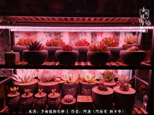 2021九·一八事变是多少周年，2021年是九一八事变的几周年（献给2021最好的春天）