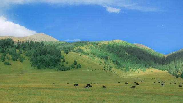 丁真老家在哪里，丁真家住哪里（丁真的老家甘孜，早该爆红了）