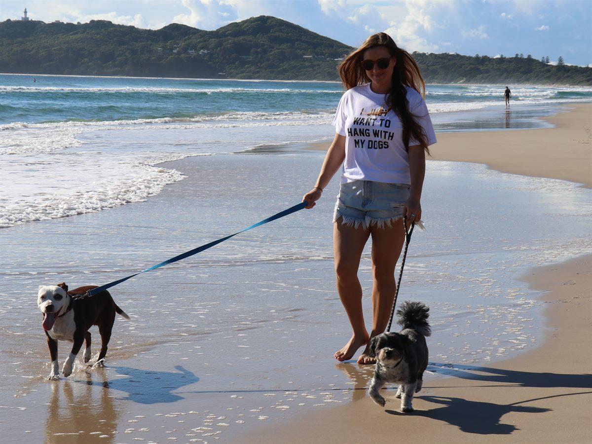 如何给你的狗植入微芯片，给狗狗植入芯片（光有爱心是不够的）