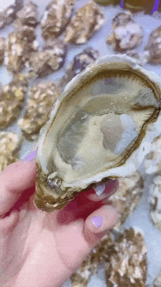 比尔森烤肉自助，秦皇岛比尔森自助餐几点开门（16家不限量自助火爆国际庄）