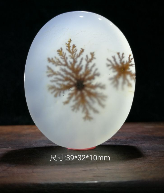 非洲最大的岛屿，非洲最大的岛屿叫什么（非洲最大的岛——马达加斯加岛）