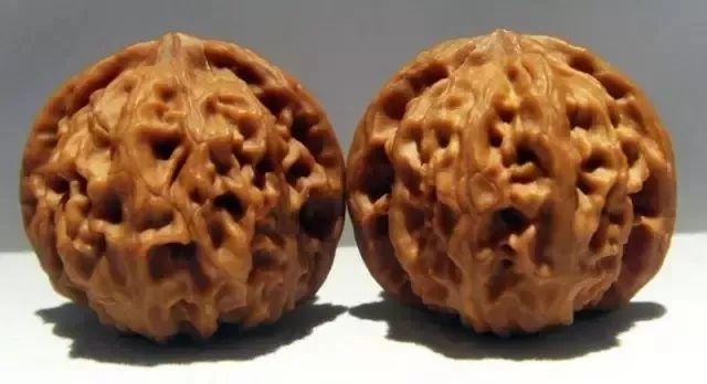 狮子头核桃种类分类有哪些（文玩核桃狮子头大全）