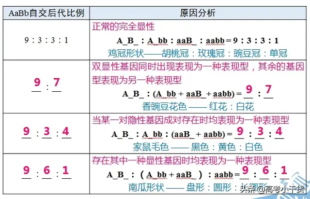 什么是基因的遗传信息，什么是基因的遗传信息传递（<基因、遗传篇>建议收藏）