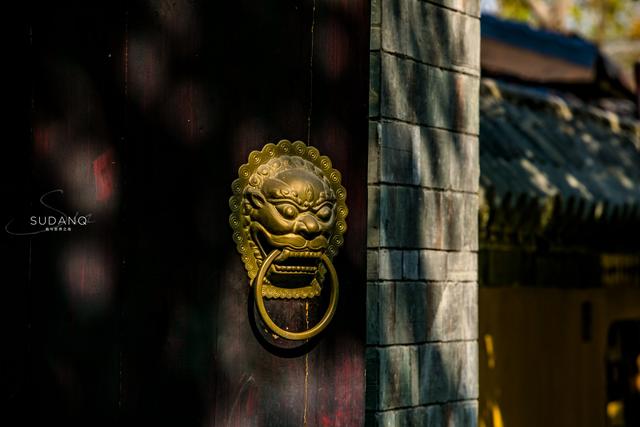 花木兰是哪个朝代的人物，花木兰是哪个朝代的人物老公是谁（木兰将军的老家在武汉黄陂）