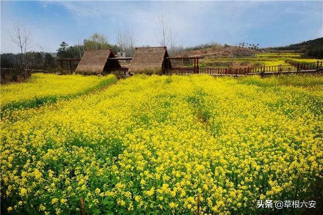 金寨灵山寺在哪，谢谢你，金寨