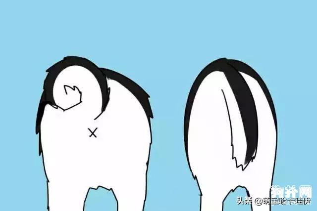 阿拉斯加犬和哈士奇，阿拉斯加犬跟哈士奇（阿拉斯加犬舍）