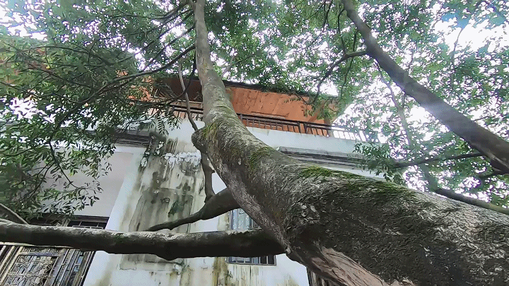博雅山房特色，广州从化流溪第一湾上的岭南特色文艺地