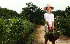 小毛驴农场，小毛驴农场联系方式（女博士的“小毛驴”农场）