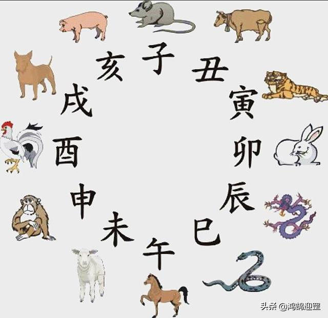 十二生肖排序，十二生肖排序表图（12生肖按照什么规则排序）