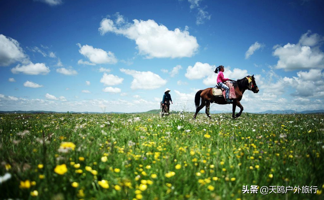 若尔盖大草原几月份去好，若尔盖草原几月去最好（若尔盖大草原，8月正适合）