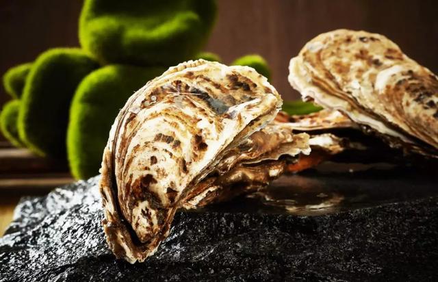 乳山生蚝全都能生吃吗，只有乳山的生蚝可以生吃吗（乳山博士生蚝-可以生食的“豪”中首选）