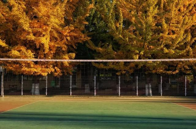 辽东学院宿舍条件怎么样，辽东学院宿舍几人间（辽宁省普通高等院校）