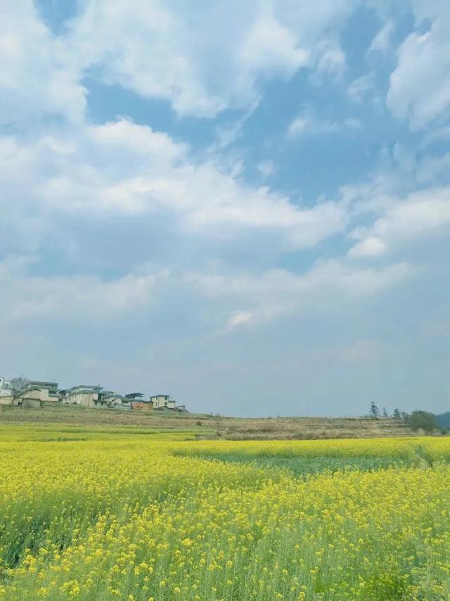 昆明好玩的地方，昆明好玩的地方排行榜（12个昆明近郊亲子自驾游好去处）