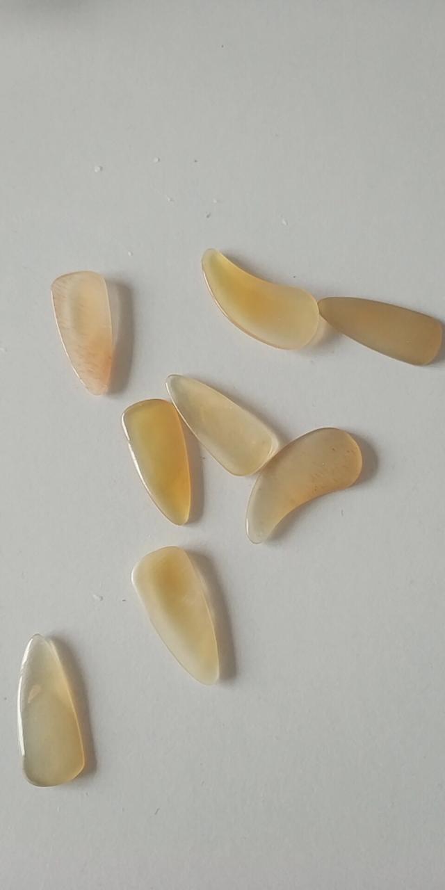 怎样挑选古筝指甲，怎样挑选古筝指甲油（古筝指甲的选择，按需购买哦）